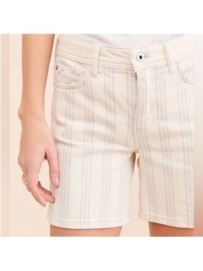 Anthropologie Pilcro Striped Slim Boyfriend Denim Shorts Size 29 EUC